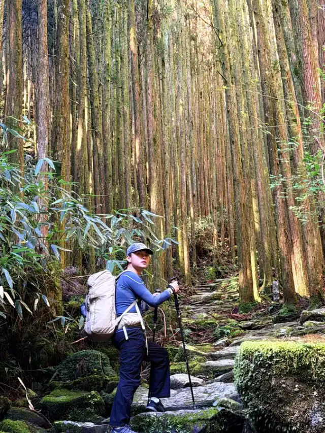 Xinwei travelling and building in the field