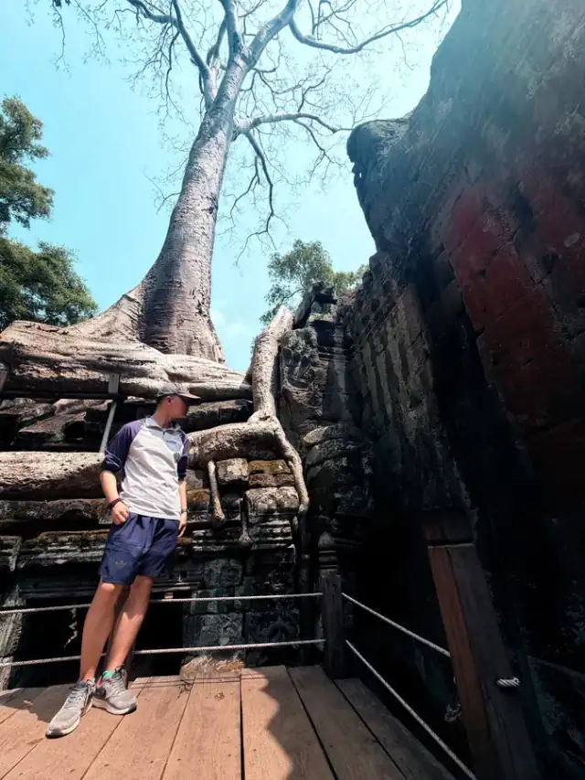 Xinwei travelling and building in the field