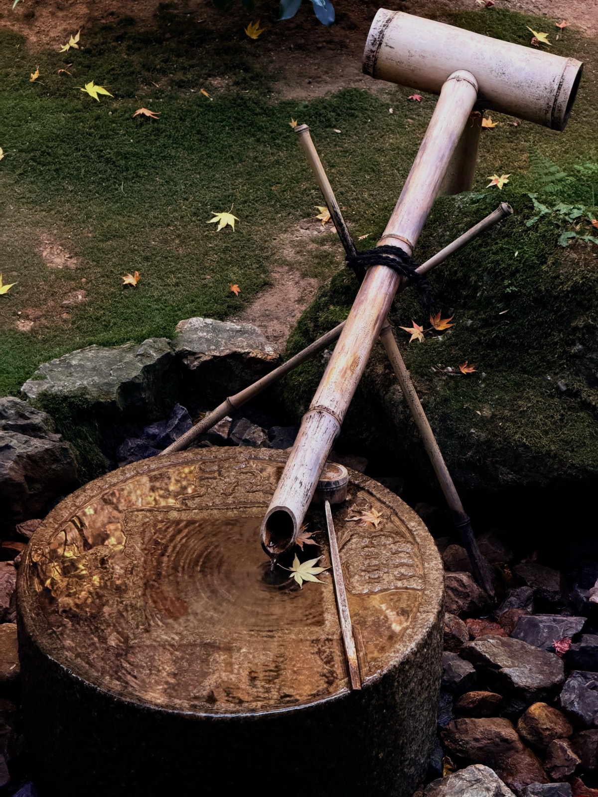 京都庭园里的蹲踞，石制手水钵配竹筧，水面漂着红叶