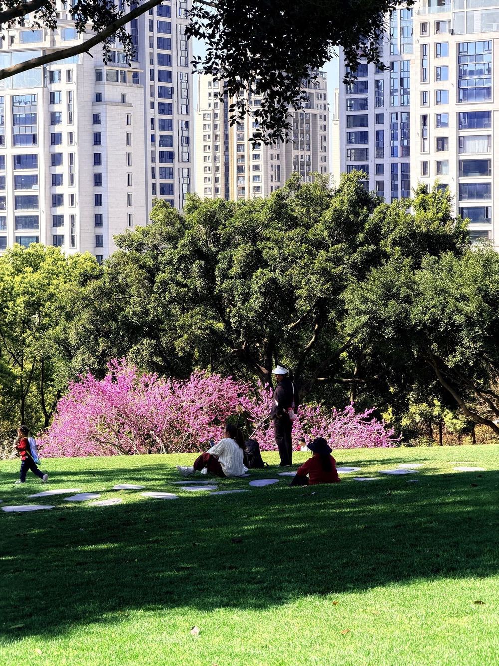 重庆中央公园，温暖的阳光与经历后的平静